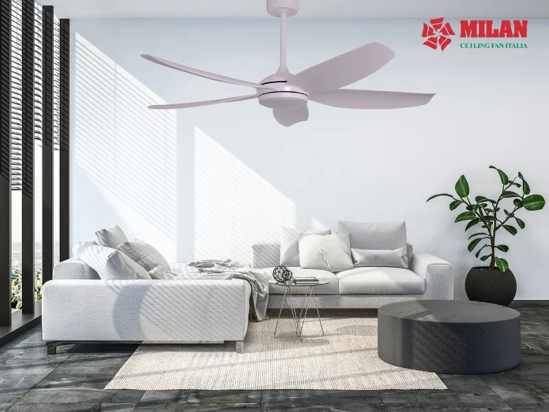 bao-gia-quat-tran-trang-tri-dep